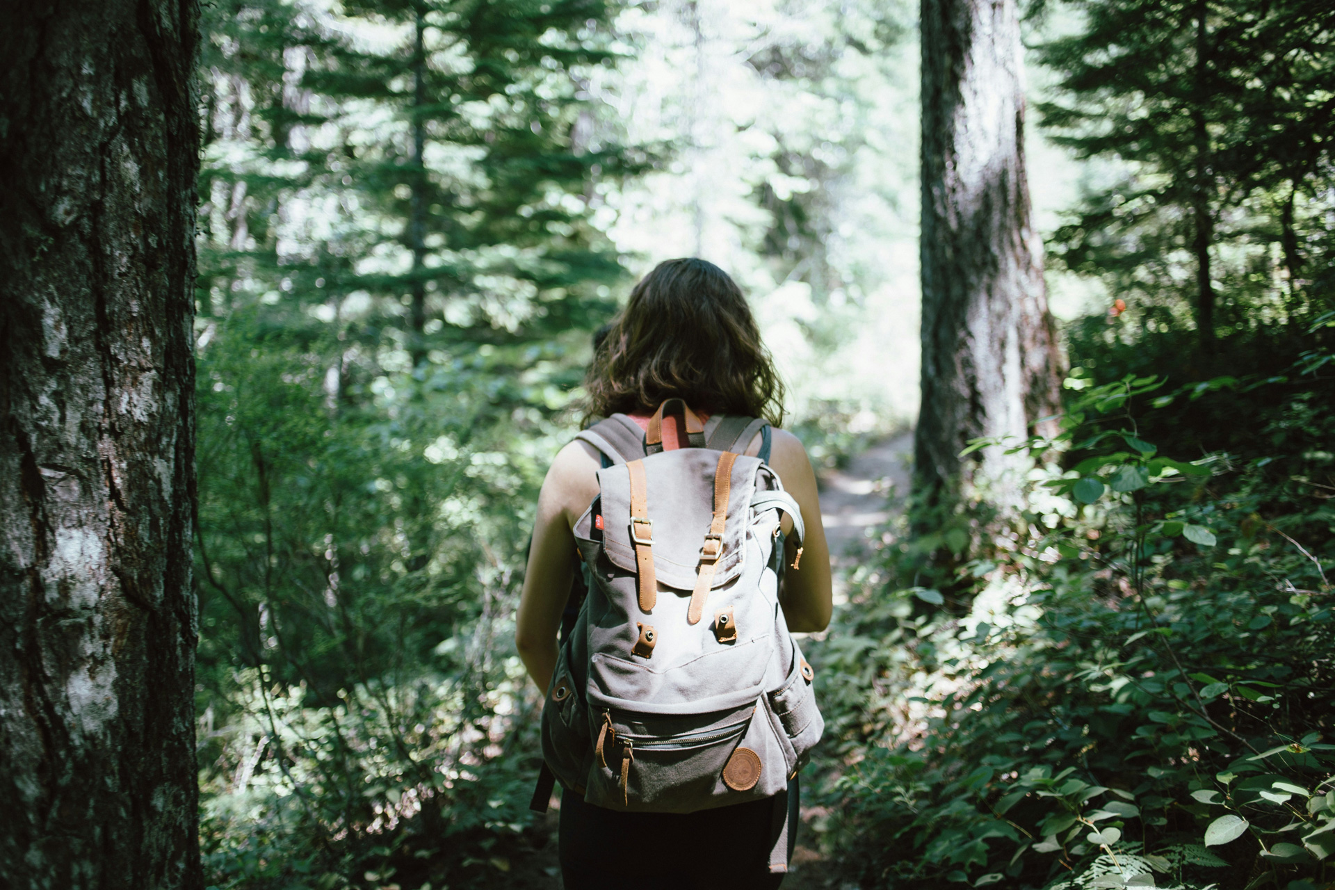 Gemeinsam unterwegs: Unser Firmenwandertag